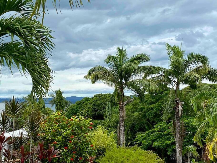 Wanderlust - Little Slice Of Heaven On Macrossan Str Apartment Port Douglas Exterior photo